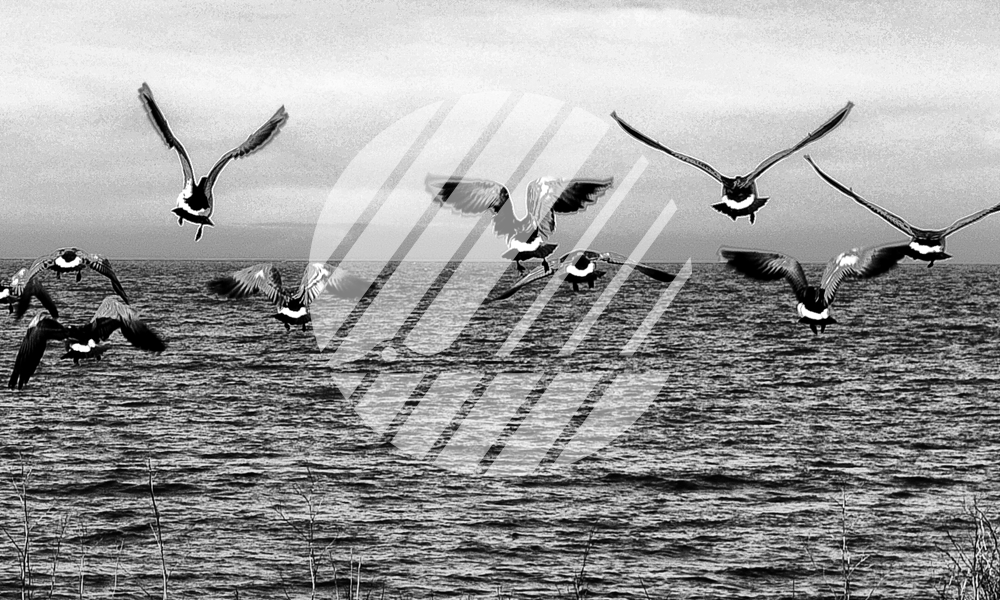 Skånska Stearinljusfabriken